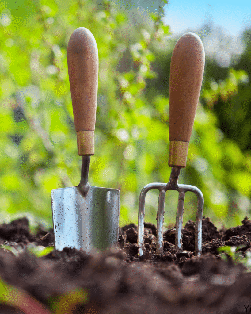 Best Garden Tools Worth Buying This Season
